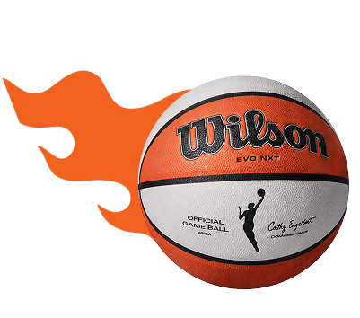 Wilson signature basketball